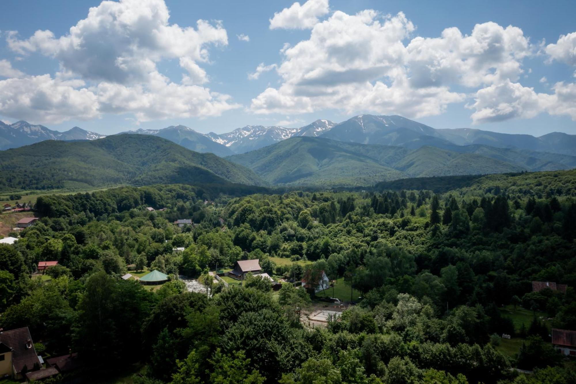 Evergreen Chalet Avrig Exterior foto